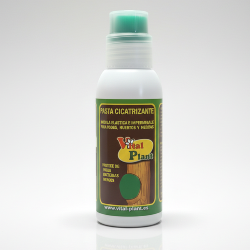 [VARVIT001] PASTA CICATRIZANTE  250 GR